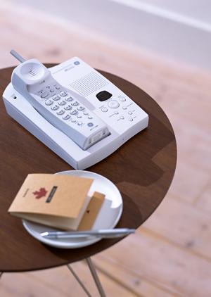 ハンドブレンダーで手作りクリスマス